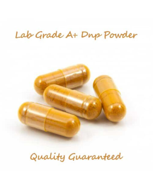 DNP for sale 200mg 25 capsules